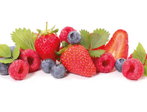 5 Fruits Rouges bio – poche de 5 KG